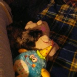 Meet your Posher, Jordan